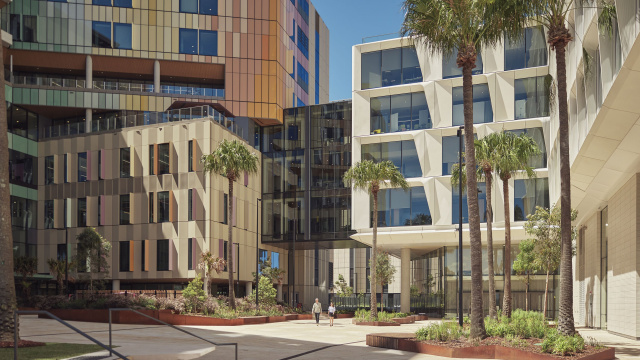 251202 Leathwood UNSW494