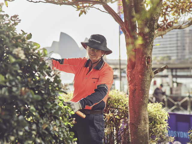 250605 Leathwood 0005