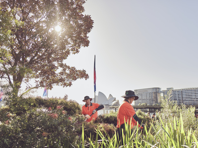 250605 Leathwood 0076