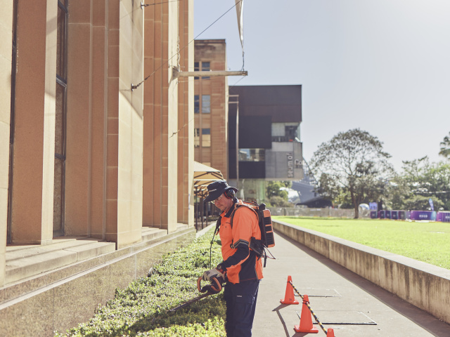 250605 Leathwood 0273