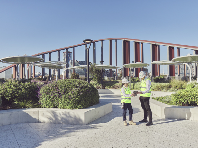 250605 Leathwood 1164