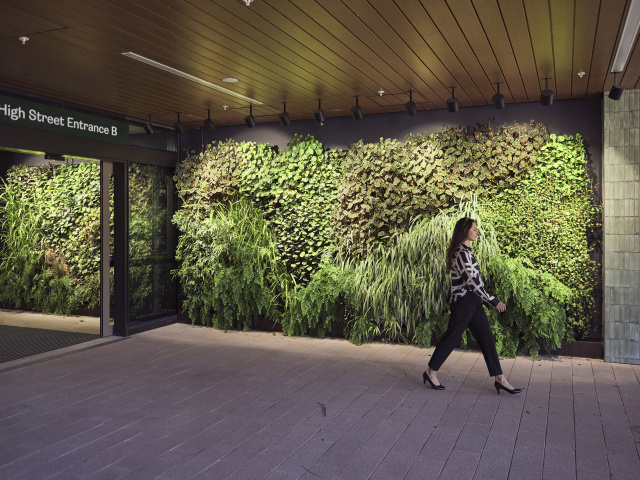 251202 Leathwood UNSW1147