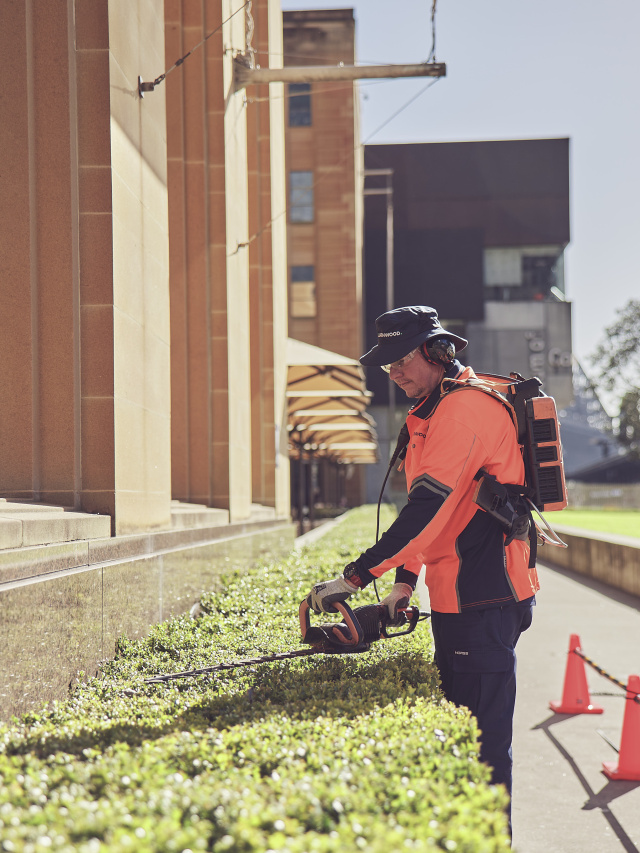 250605 Leathwood 0260