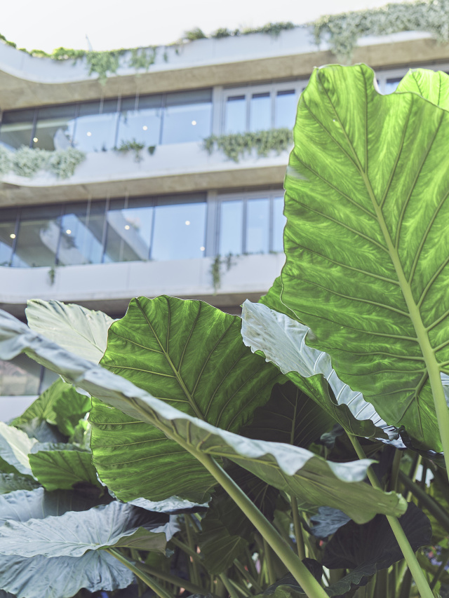 250605 Leathwood 0988