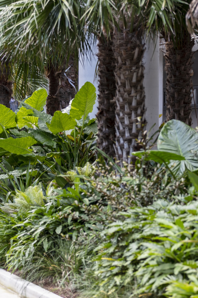 HDR Tract Westmead March2021 002812