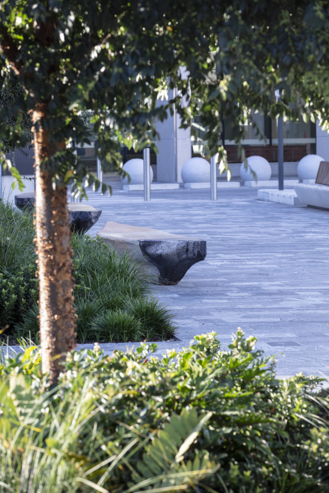 HDR Tract Westmead March2021 002905