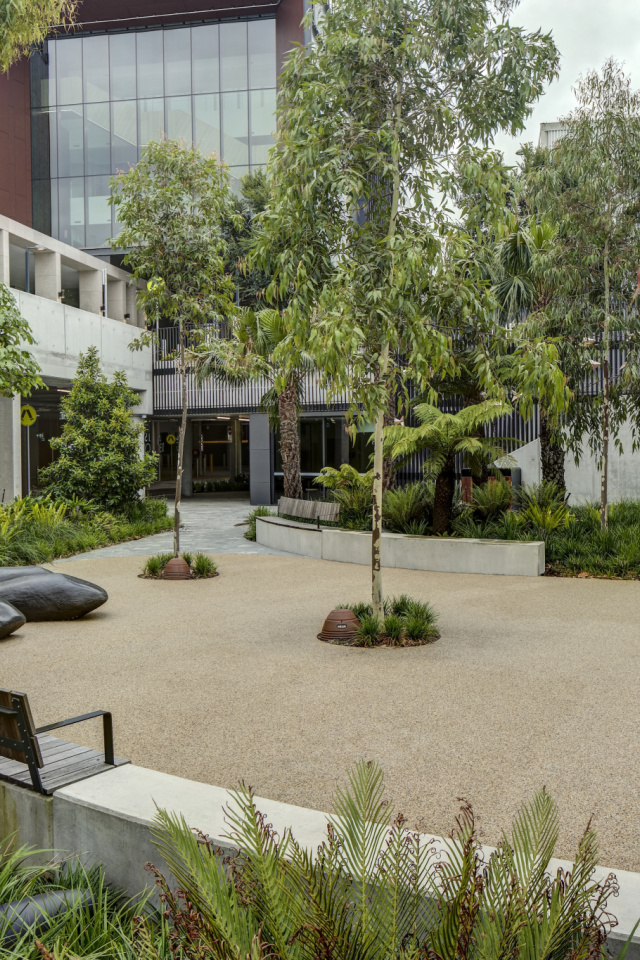 TRACT Westmead Dec2020 004547