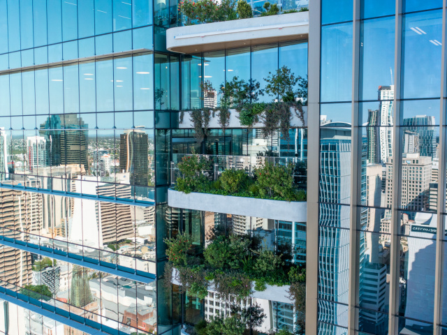 Fresh Landscape Group Brisbane 49