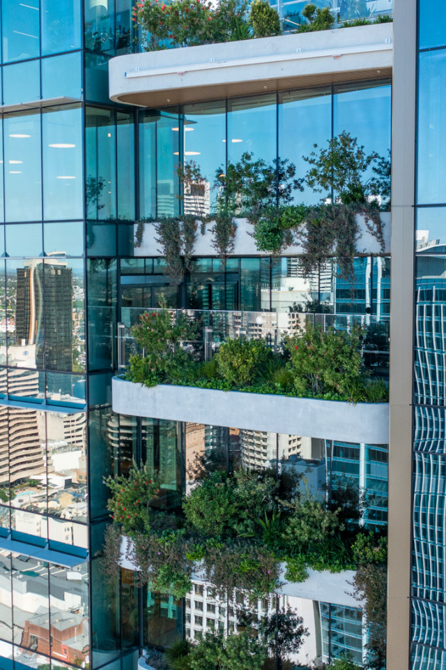 Fresh Landscape Group Brisbane 49