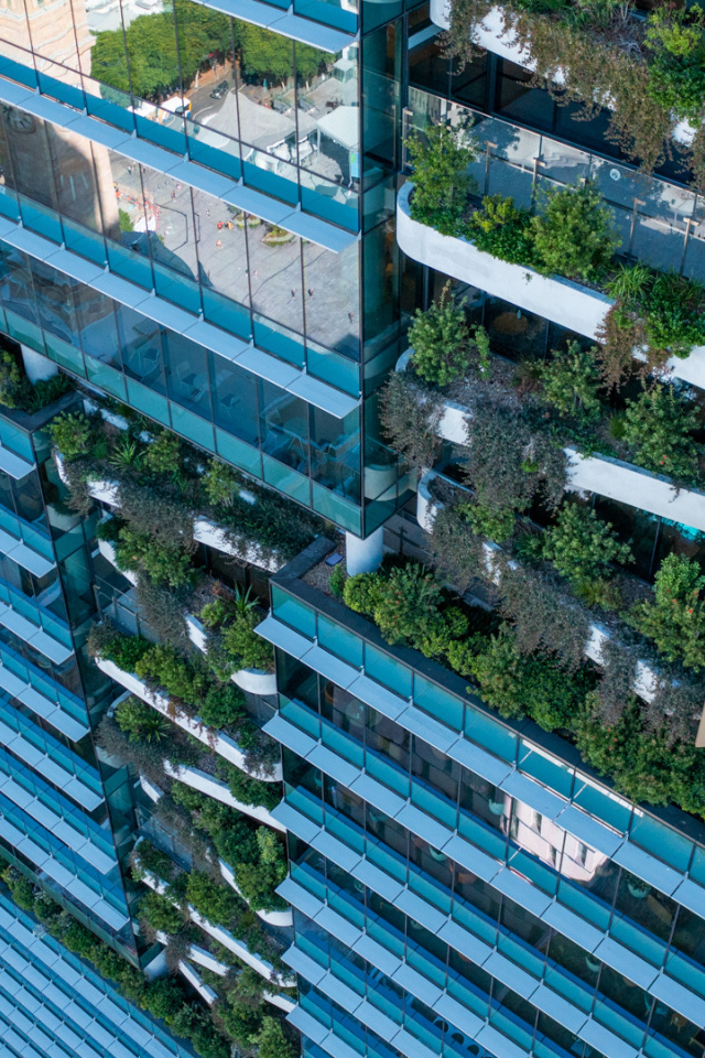 Fresh Landscape Group Brisbane 50