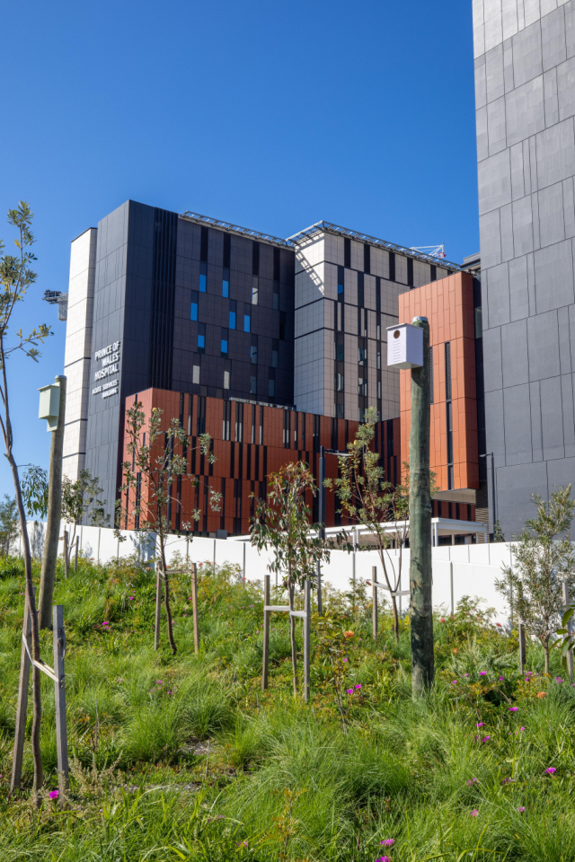 Randwick Hospital 21