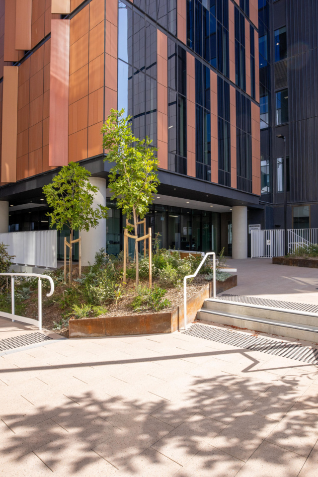 Randwick Hospital 39