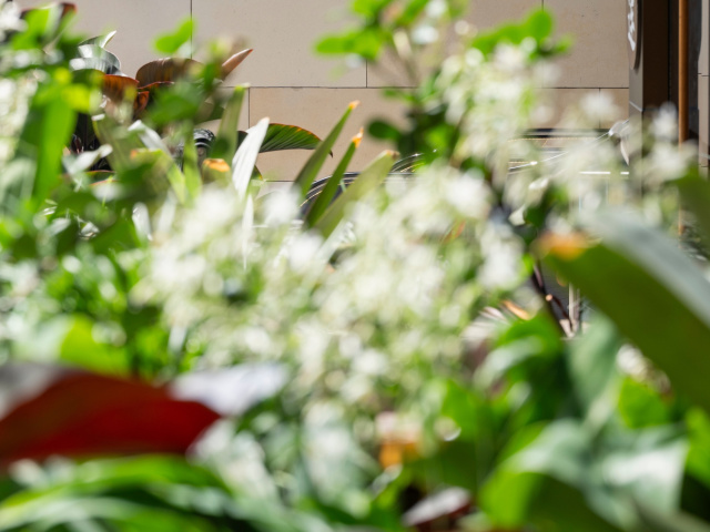 Quay Quarter JOW 241020 3268