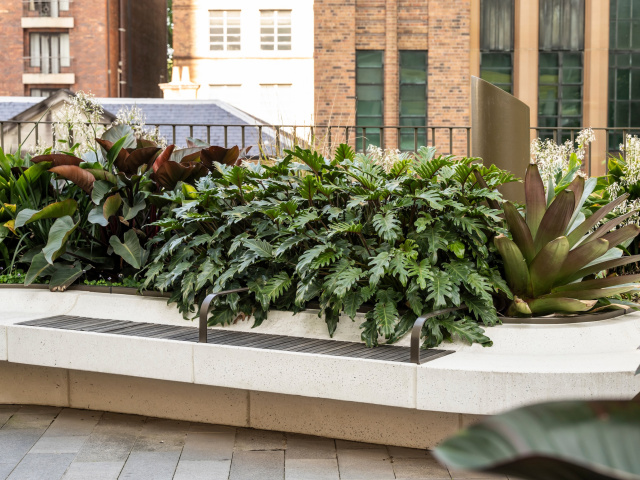 Quay Quarter JOW 241020 3772