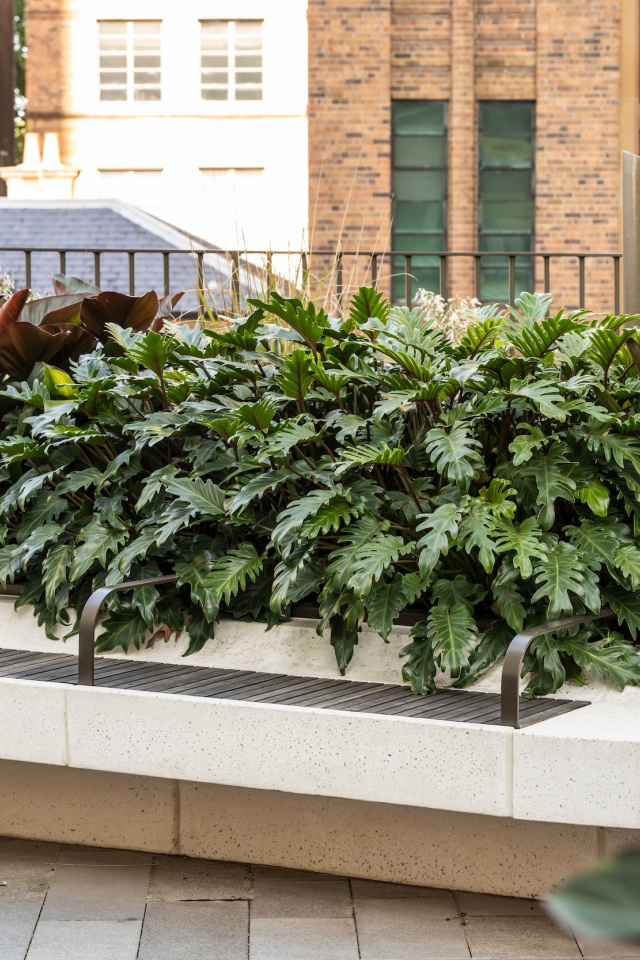 Quay Quarter JOW 241020 3772