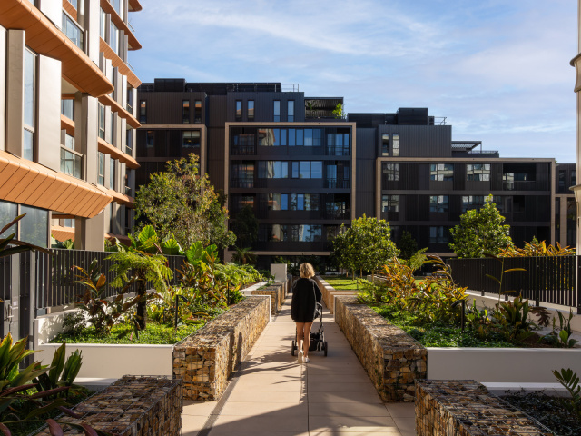 DSC01104 Enhanced NR Edit