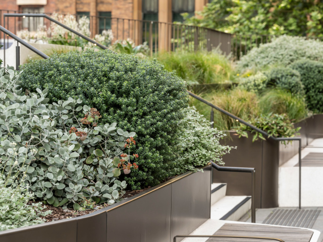 Quay Quarter JOW 241020 3768