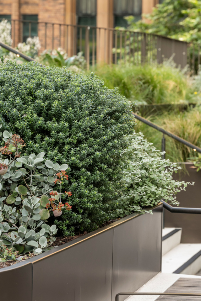 Quay Quarter JOW 241020 3768