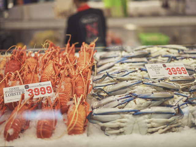 260217 ATV Leathwood Fish Markets 141