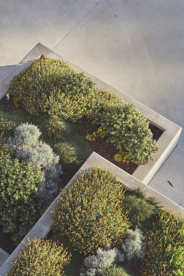 260217 ATV Leathwood Fish Markets 009