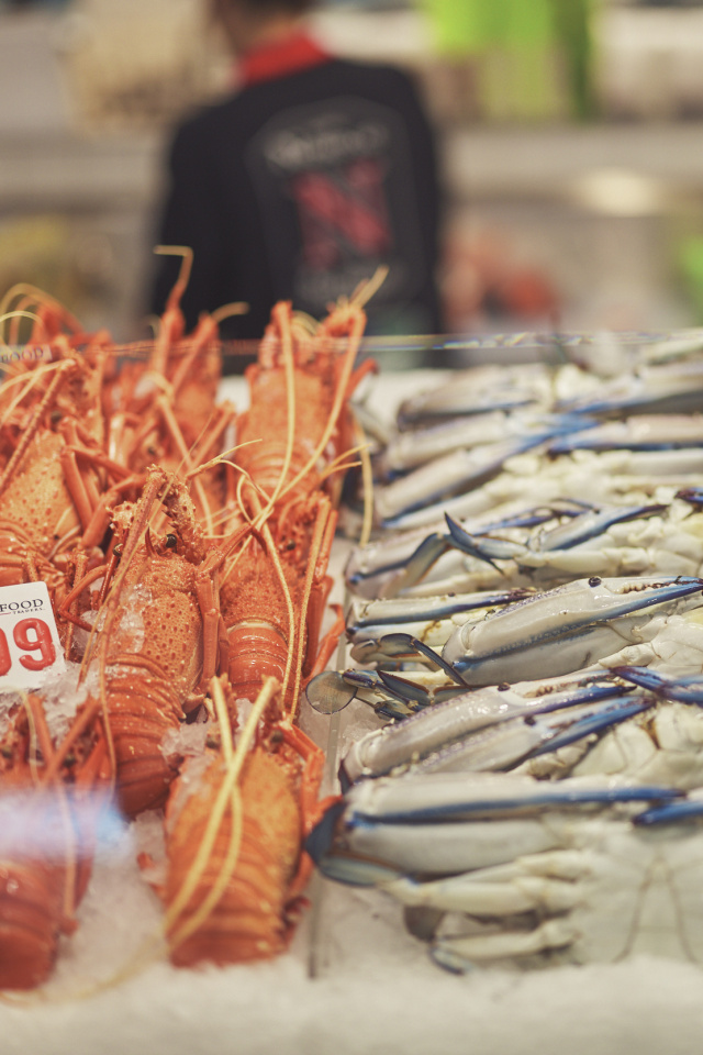 260217 ATV Leathwood Fish Markets 141