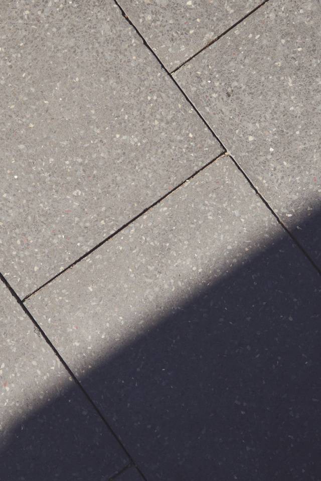 260217 ATV Leathwood Fish Markets 813